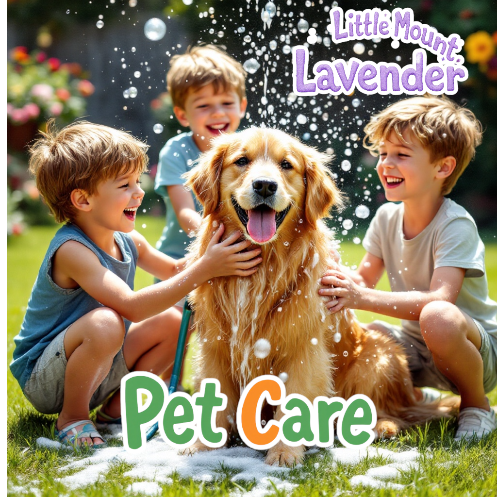 Pet Wash Extra Large