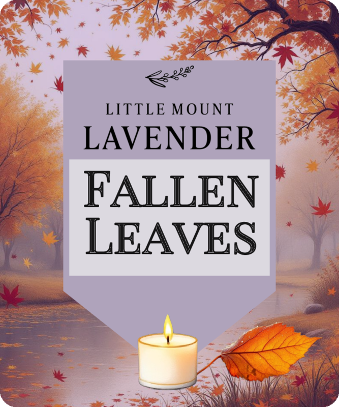 Fallen Leaves and Lavender Soy Candles