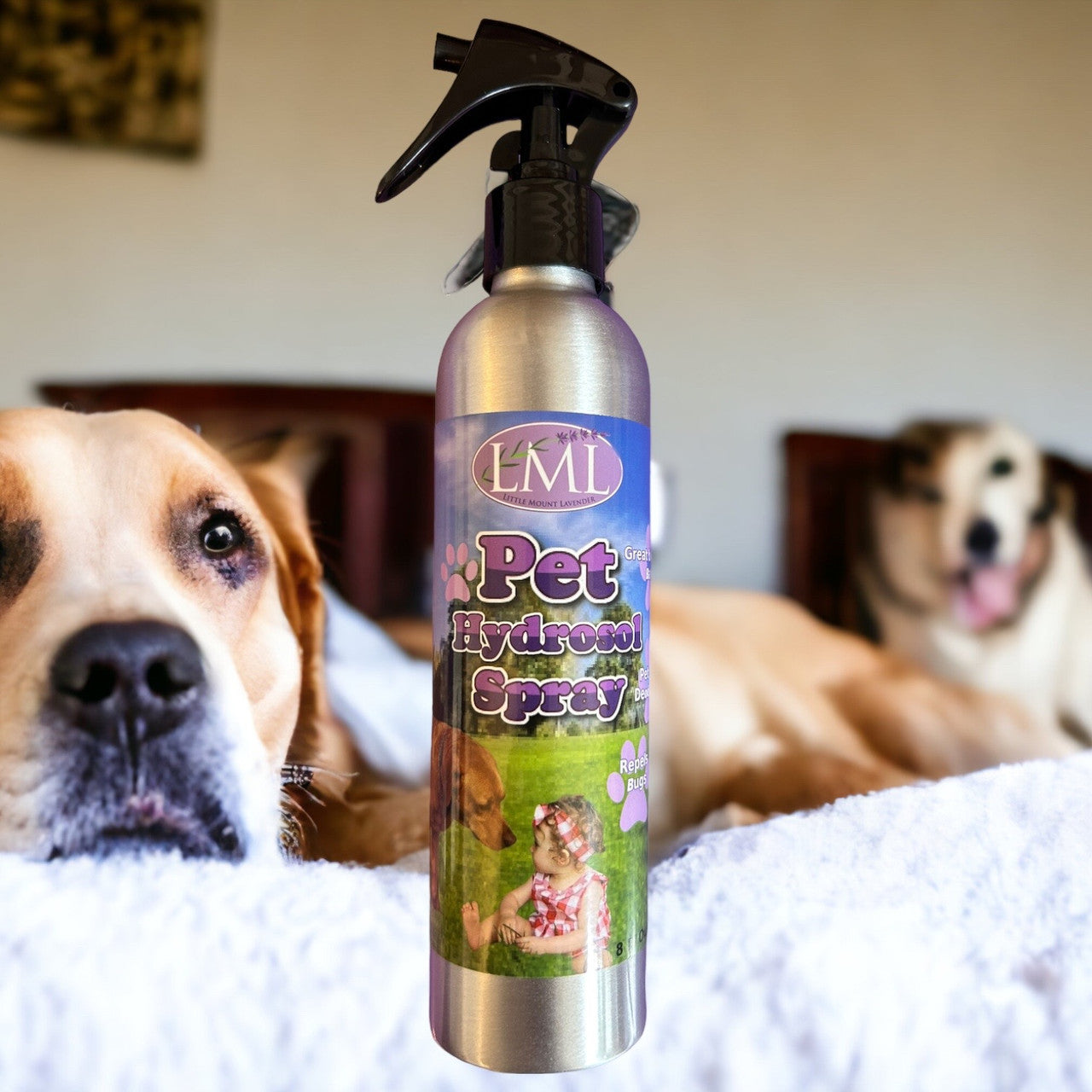 Lavender Pet Hydrosol Spray