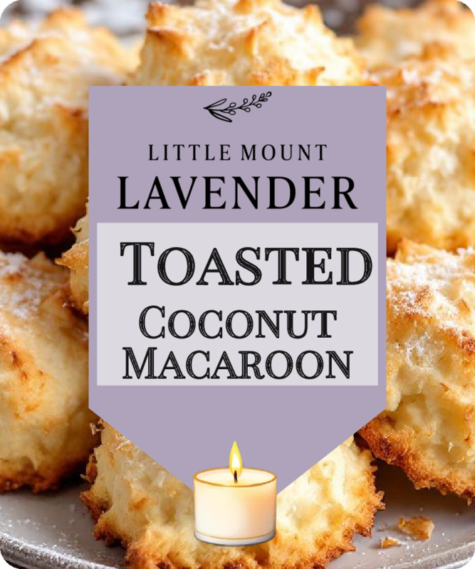 Toasted Coconut Macaroon and Lavender Soy Candles