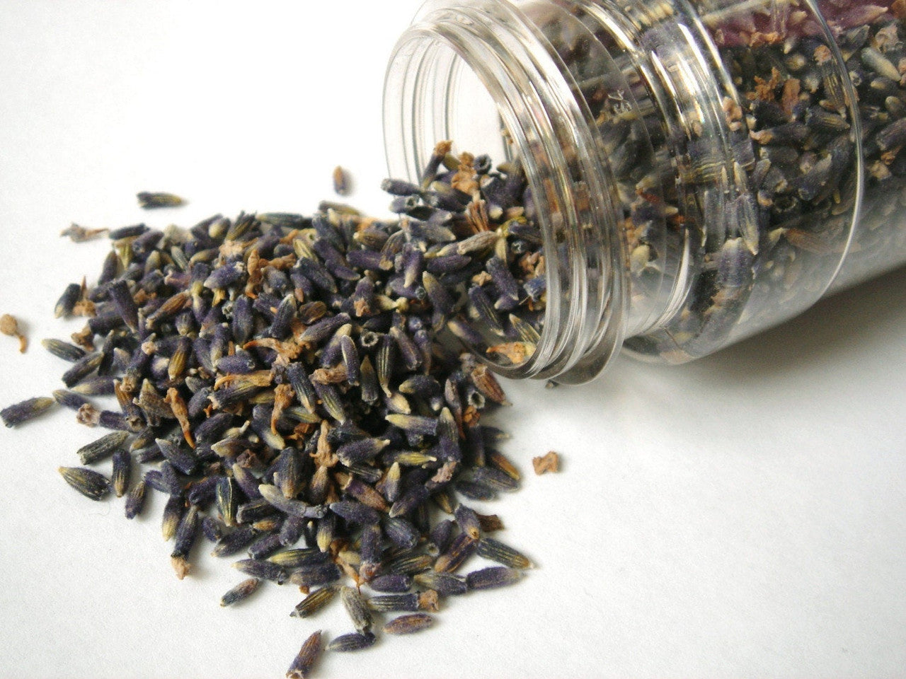 Culinary Lavender .5 oz
