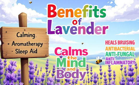 Lavender and it's Many Benefits