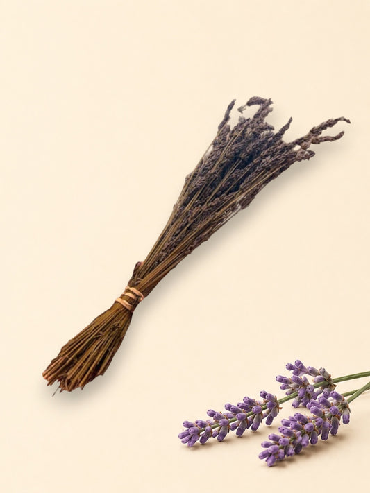 Dried Lavender