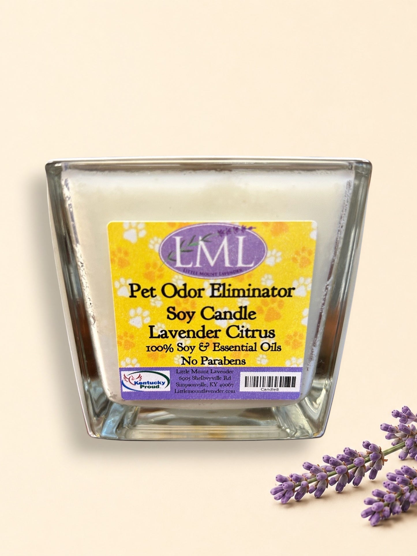 Odor eliminating candle