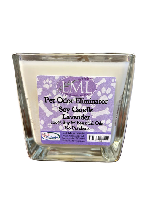 Odor eliminating candle