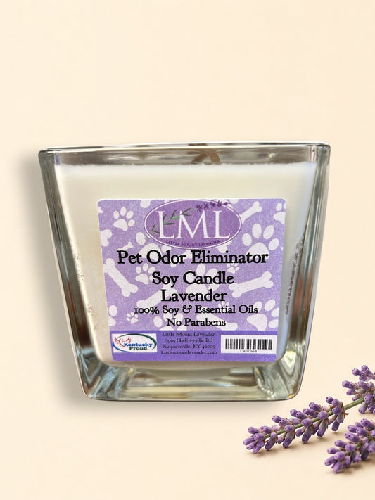 Odor eliminating candle