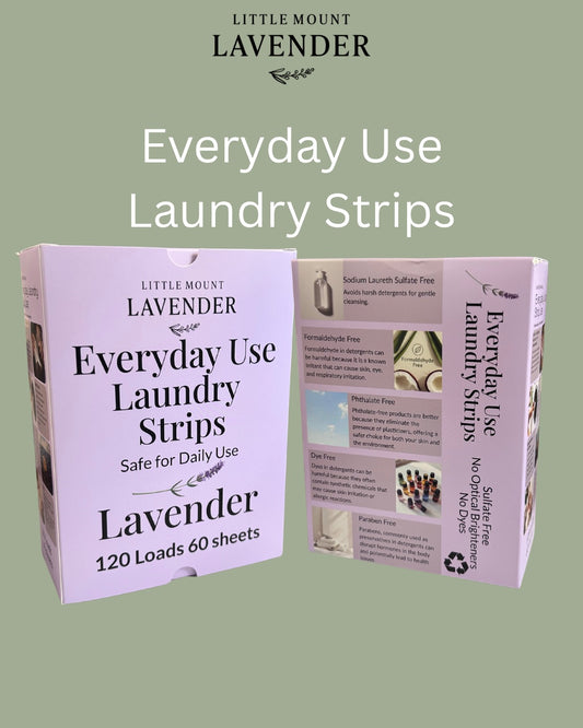 Everyday Use Laundry Detergent Sheets - Lavender