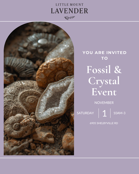 Fossil and Crystal Event Nov 1