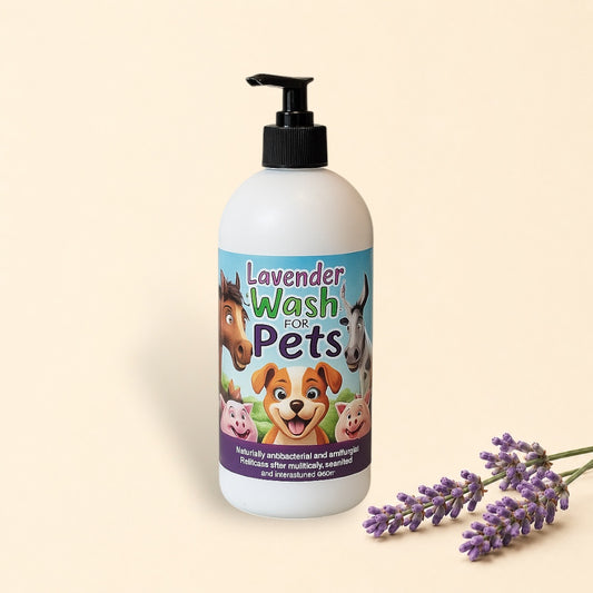 Pet Wash Extra Large