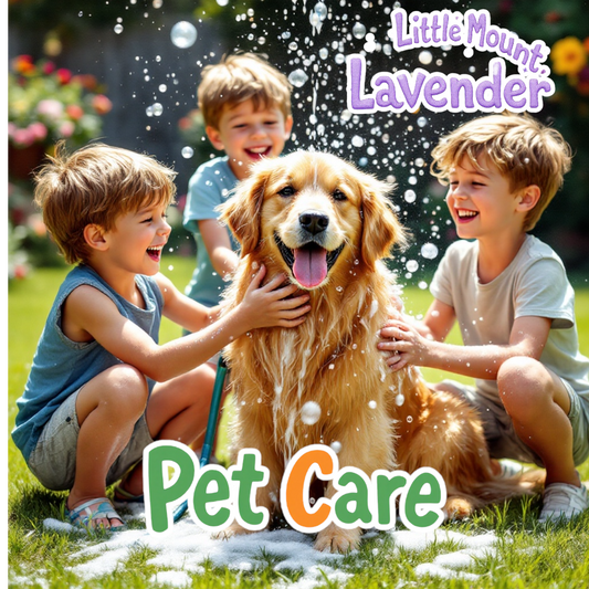 Pet Bar