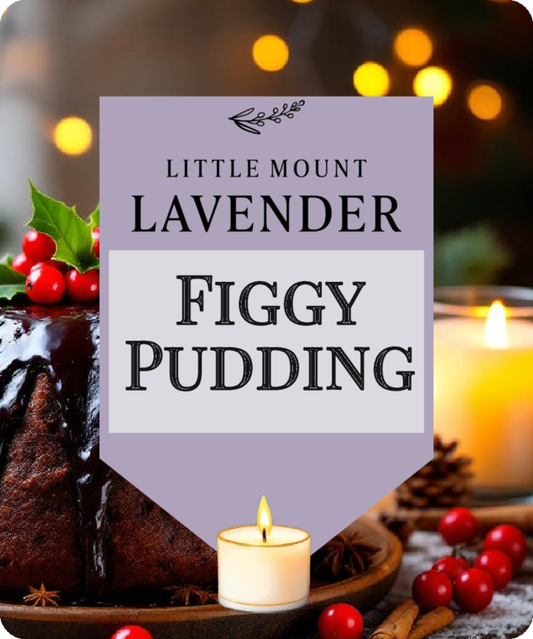 Figgy Pudding and Lavender Soy Candles