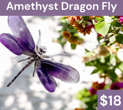 Amethyst Dragonfly