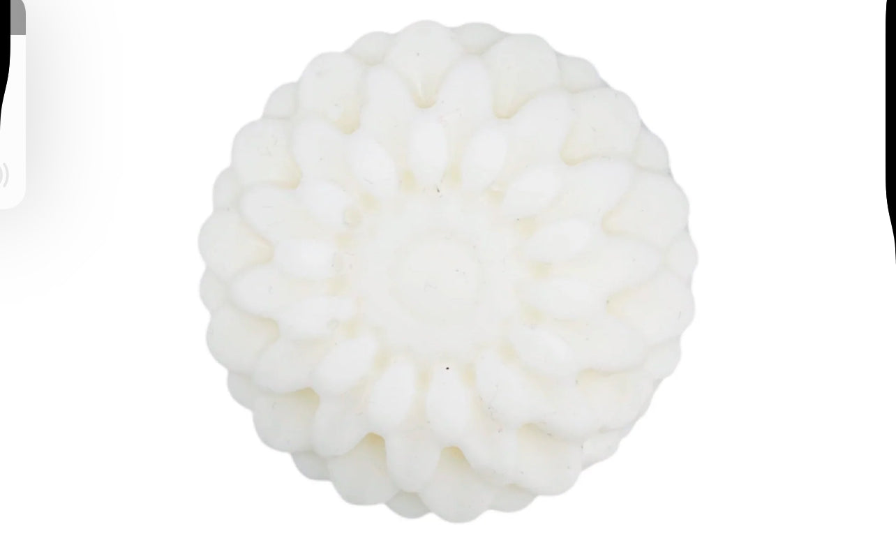 Shampoo Bar single