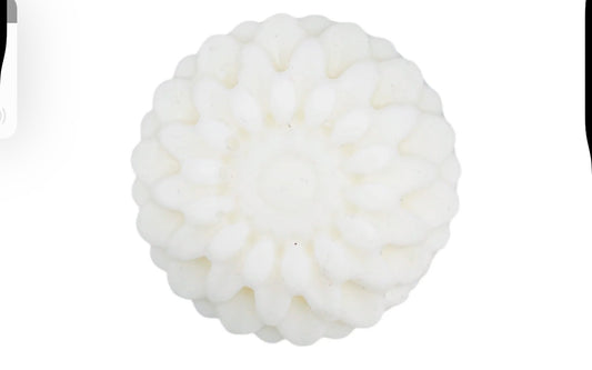 Shampoo Bar single