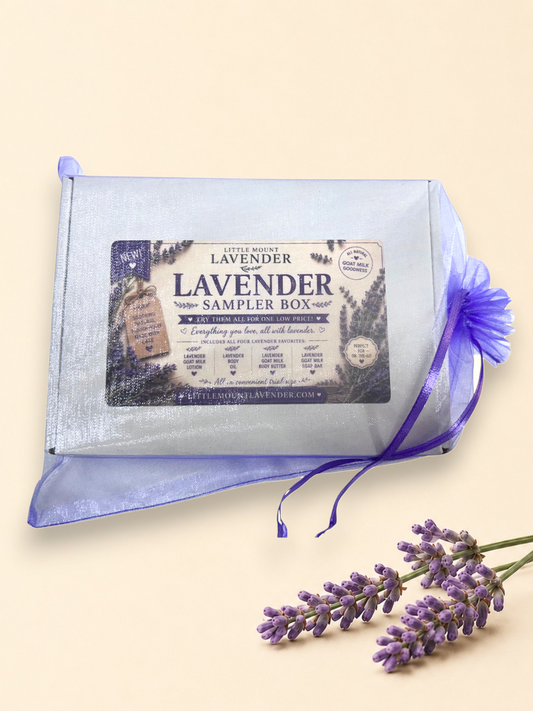 Closed lavender skincare sampler box with a purple ribbon and illustrated label.