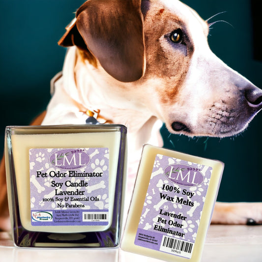 Odor eliminating candle