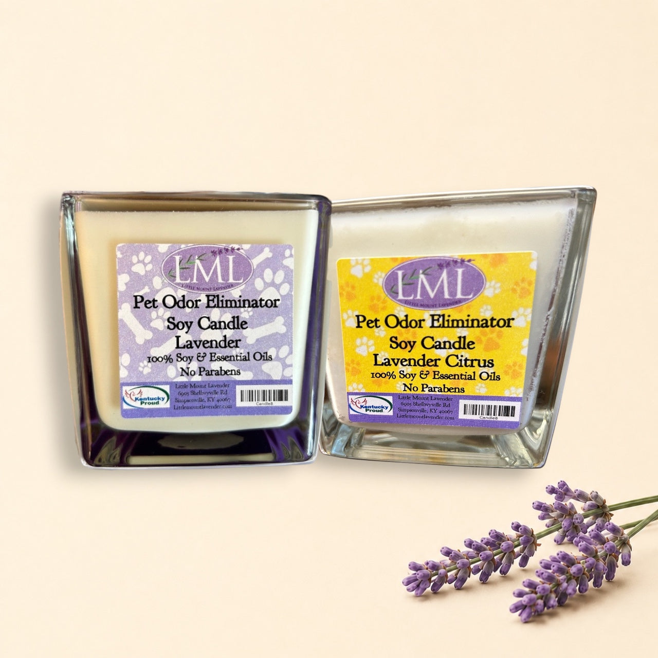 Odor eliminating candle