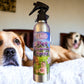Lavender Pet Hydrosol 8.5 oz