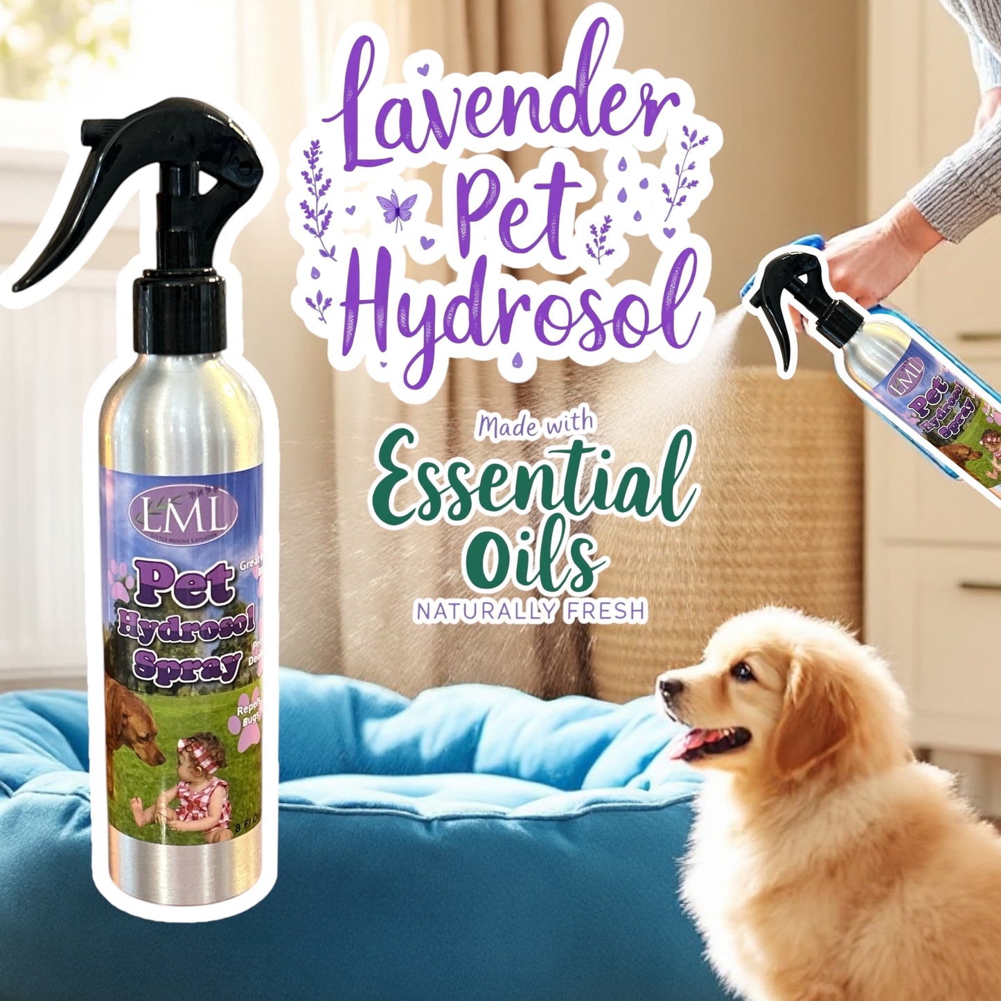 Lavender Pet Hydrosol Spray