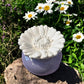 Little Mount Lavender porcelain daisy essential oil diffuser with a light purple base, set outdoors among daisies.