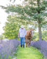 Little Mount Lavender dried lavender bunch held by a man in a cowboy hat and jeans walking a horse through a field.