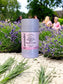 Little Mount Lavender French Garden natural deodorant in a biodegradable wheat straw twist-up container in a lavender field