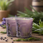 Little Mount Lavender twin pack soy wax candles in purple glass jars with essential oils on a rustic wooden table.